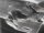 LEXAN COCKPIT EINSATZ / INTERIEUR INKL. FAHRER FÜR CRAWLER KAROSSERIE PROLINE "1946 DODGE POWER WAGON" # PWC1